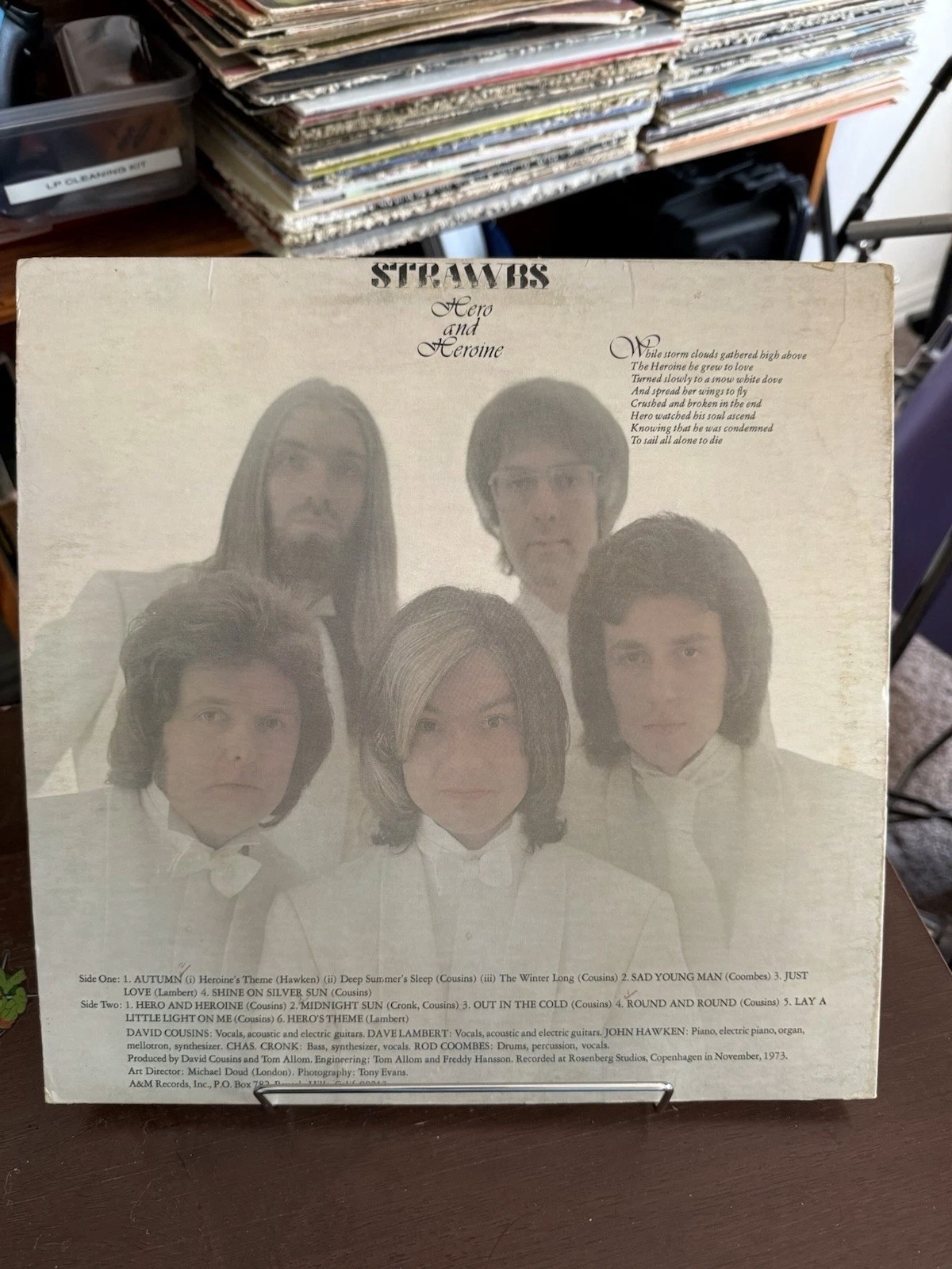 The Strawbs: Hero and Heroine - Image 3